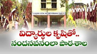 Students Planting Trees In School | Kamareddy | మొక్కలతో పాఠశాలని ఉద్యానవనంగా చేస్తున్న విద్యార్థులు