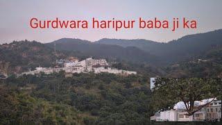 Haripur Gurdwara Baddi Himachal Pradesh ।। jai baba haripur bale ki 🙏