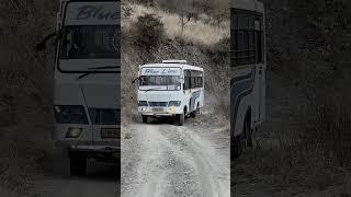 Blun line bus service in solan himachal pradesh 🚌🚌#driver #solan #trending #travel #bussid 🚌👀