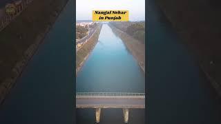 Nangal Nehar in punjab, दुनिया तो सोनी मेरे पिंड दी सॉवर है