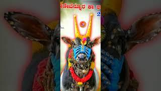 huli kartik 18 # ರಾಣೆಬೆನ್ನೂರು ಕಾ ರಾಜಾ # king # of #king # maker #pls #like # and