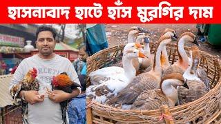 হাসনাবাদ হাটে হাঁস মুরগির দাম || Village Market || Village Market in Bangladesh || Live Village 24