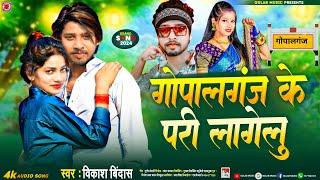 #audio-गोपालगंज के परी लागेलू | | New Bhojpuri Song 2024 GOPALGANJ KE PARI Lagelu #Vikash Bindas