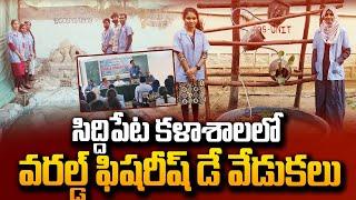 సిద్దిపేట కళాశాలలో వరల్డ్ ఫిషరీస్ డే వేడుకలు | World fishery day celebration in Siddipet