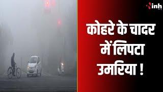 MP Weather Update: कोहरे के चादर में लिपटा उमरिया ! ठंड से लोगों का हुआ बुरा हाल | Umariya