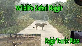 Wildlife Safari Rajgir | Hot Well | Rajgir tourist place