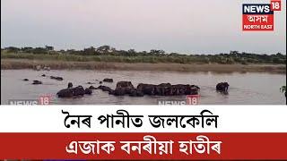 Rangapara Elephant Video : শোণিতপুৰ আৰিমৰা চাপৰিৰ এটা মনোমোহা দৃশ্য  |  N18Vৰ