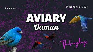 Aviary-India's largest bird park.Now open in DAMAN+40+species of birdsLocation-