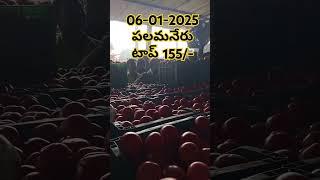 Palamaner Tomato Market Price Today | Today Tomato Prices | #palamanertomatomarket 🍅🍅