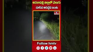 Anakapalli : అనకాపల్లి  జిల్లాలో వెలుగు చూసిన అరుదైన జంతు జాతి | Wild Animals In Anakapalli | hmv