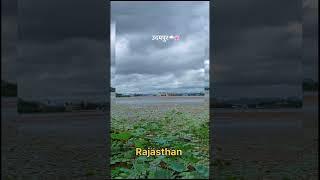 उदयपुर राजस्थान 😍❤️ (पीचोला)  #rajasthan #udaipur #natural #short   video