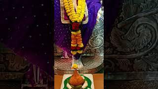 4-02-2025 today shiridi Sai Baba Darshan palasa Shiridi Sai