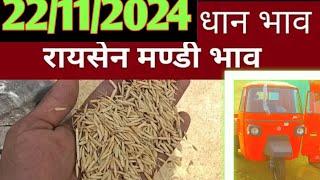 22/112024  || Raisen mandi bhav today || Raisen mamdi dhan ka rate || Raisen mandi bhav || Farmer38