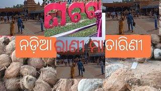 Maa tarine #ଘଟଗାଁ #ନଡିଆ ରାଣୀ ମା ତାରିଣୀ ପୀଠ #bikashtraveller #my #vlog #