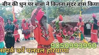 बीन की धुन पर बाबा ने कितना सुंदर डांस किया  पलवल हरियाणा से📞9050993950📞