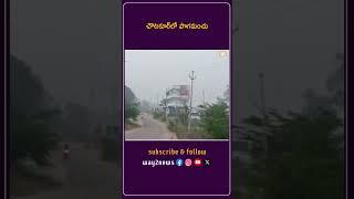 చౌటకూర్‌లో పొగమంచు | Medak | Telangana | Way2news Telugu