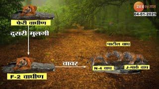 Nagpur Tiger Case | उमरेड क-हांडला अभयारण्यात Jungle Safari दरम्यान वाघिणीला घेरणाऱ्यांवर कारवाई