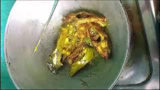 ଏହି ମାଛ ଝୋଳ 🐟 କେହି ବନେଇ ନଥିବେ