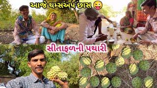 સીતાફળની પથારી || આજે થમ્સઅપ 😂 || Life At Botad Village Vlogs