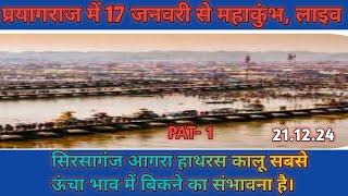 सिरसागंज आगरा हाथरस का पुराना आलू सबसे ऊंचा भाव में बिकने का संभावना है बहुत ज्यादा।