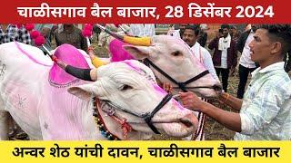 🛑Live चाळीसगाव बैल बाजार | 28 डिसेंबर 2024 | अनवर शेठ यांची दावन 😍 Chalisgaon bail bazar 🥰