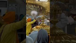 Shri guru dasam granth sahib ji at hazur sahib nanded ji