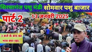 Buffalo for sale | सिरसागंज पशु मेला | टॉप मुर्रा नस्ल की भैस| Buffalo Farming In India | Pashu Mela