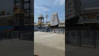 Tirupati Balaji 🙏 Laddu & Vada