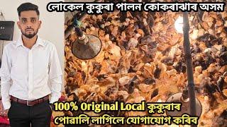 Local chicken farming at Assam // লোকেল কুকুৰা পালন কোকৰাঝাৰ অসম