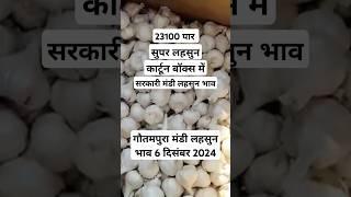 गौतमपुरा मंडी लहसुन भाव 6 दिसंबर 2024