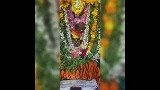 🕉️#ambedkarnagar #guntakal #devotional #shorts #hanumanji #jaishreeram #jaihanuman #bajarangbali 🚩🛕🚩