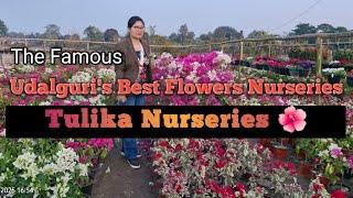 Udalguri's Biggest Flowers Nurseries