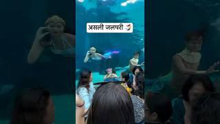 Real Jalpari | असली जलपरी🧜‍♀️ | Jalpari video raigarh