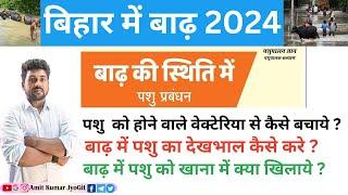 बाढ़ में पशु का देखभाल कैसे करे ? / पशु को होने वाले वेक्टेरिया से कैसे बचाये  | बाढ़ में पशु को ?