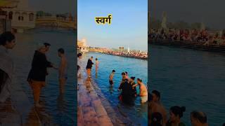 स्वर्ग का द्वार हरिद्वार 🥰#maagangadarshan #ytshorts #shorts #trending #viralshort  #haridwarganga .