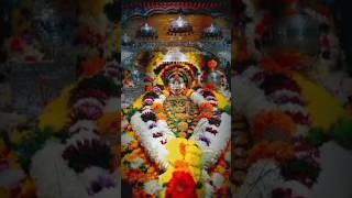 Somjai Devi 🌺🙏🌺 | shriwardhan |