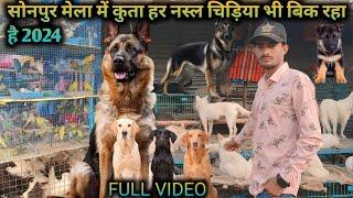 सोनपुर मेला में इस बार कुता के साथ चिड़िया भी मिलेगा || sonpur mela 2024 dog market sonpur mela 2024