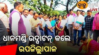 ଡୁଙ୍ଗୁରିପାଲି ଠାରେ ଧାନ ମଣ୍ଡି ଉଘାଟନ l Inauguration of Dhan Mandi at Dunguripally