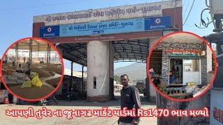 આપણી તુવેર ના જૂનાગઢ માર્કેટ યાર્ડમાં Rs1470 ભાવ મળ્યો || Market Yard