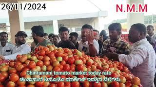 Live Chintamani today tomato rate 26/11/2024 ಚಿಂತಾಮಣಿ ಟಮೋಟ ಮಾರ್ಕೆಟ್ ಇವತ್ತಿನ ಬೆಲೆಗಳು..?