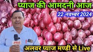 प्याज की आवक और भाव आज अलवर प्याज मंडी राजस्थान/ Onion Rate Today Alwar Mandi Rajasthan