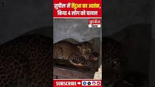 Bihar News : सुपौल में तेंदुआ का आतंक किया 4 लोग को घायल | RaniGanj | Leopard Attack | Supaul