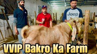 Bin Waheed Farms Bhopal | VVIP Bakro Ka Goat Farm Hai Yeh!