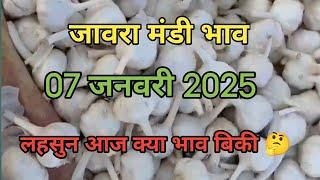 जावरा मंडी में लहसुन क्या बिकी || 7 जनवरी 2025 || jaora Mandi bhav