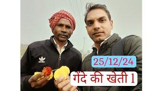 Part-1 25 December 2024,  गेंदे की खेती वाराणसी बाबतपुर..