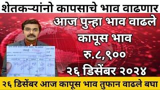 🔴कापुस भाव या तारखेनंतर वाढणार / 26 डिसेंबर 2024 कापूस बाजार नीचांकिवर / कापूस बाजारभाव / kapus bhav