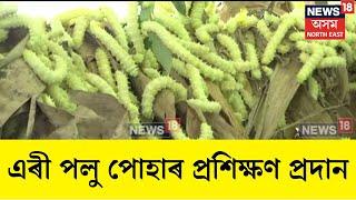 Silkworm Farming Training : ওদালগুৰি জিলাৰ ভেৰগাঁৱত এৰী পলু পোহাৰ প্ৰশিক্ষণ প্ৰদান | N18V