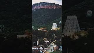 ❇️Tirumala | Tirupati Andhra Pradesh❇️🇮🇳