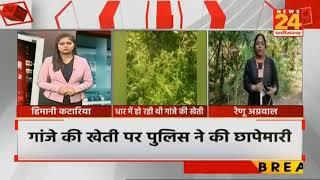 मनावर।मक्का के खेत में छुपाकर लगाए थे अवेध गांजे के पौधे पुलिस ने कार्यवाही NDPS के तहत कार्यवाही