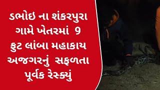 ડભોઇ તાલુકાના શંકરપુરા ગામે ખેતરમાં આવી ચડેલા આશરે 9 ફુટ લાંબા મહાકાય અજગરનું  રેસ્ક્યું